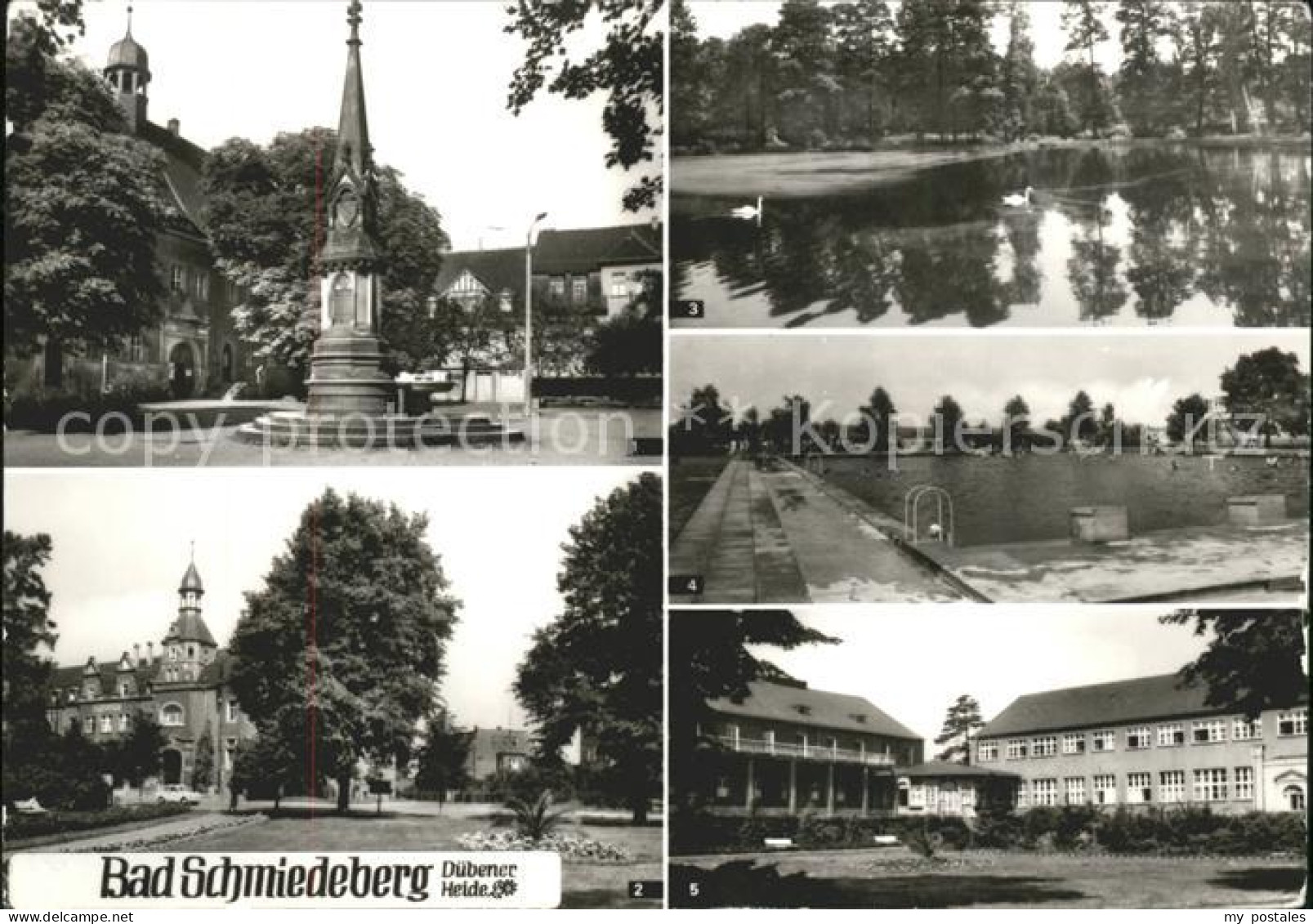 41604948 Bad Schmiedeberg Rathaus Kurhaus Schwanenteich Freibad Eisenmoorbad Bad - Bad Schmiedeberg