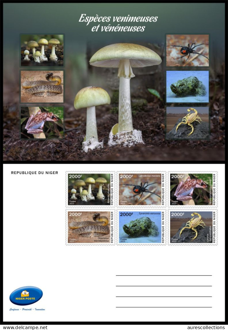 NIGER 2023 - STATIONERY CARD - TOXIC SPECIES - MUSHROOMS FROGS FROG SNAKES SNAKE SPIDERS SPIDER SCORPIONS FISH - Grenouilles