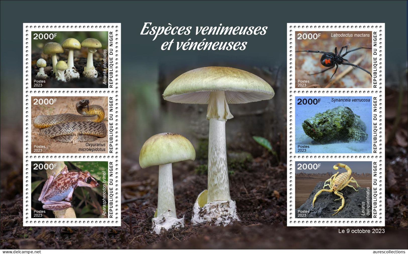 NIGER 2023 - BOOKLET M/S 6V - TOXIC SPECIES - MUSHROOMS FROGS FROG SNAKES SNAKE SPIDERS SPIDER SCORPIONS FISH - MNH - Grenouilles