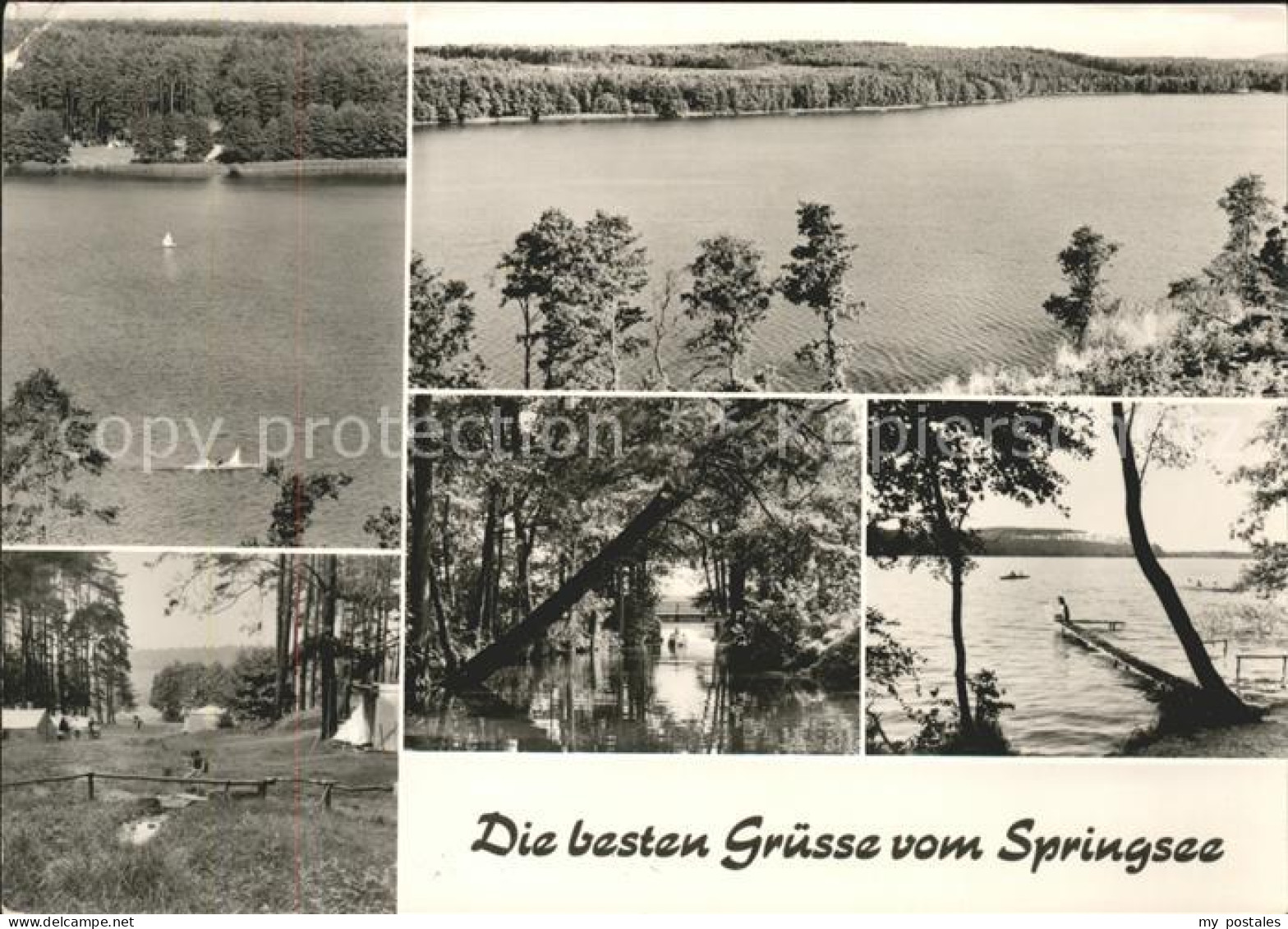 41604553 Springsee Guestrow Seepanorama Teilansichten Heiligengrabe - Heiligengrabe