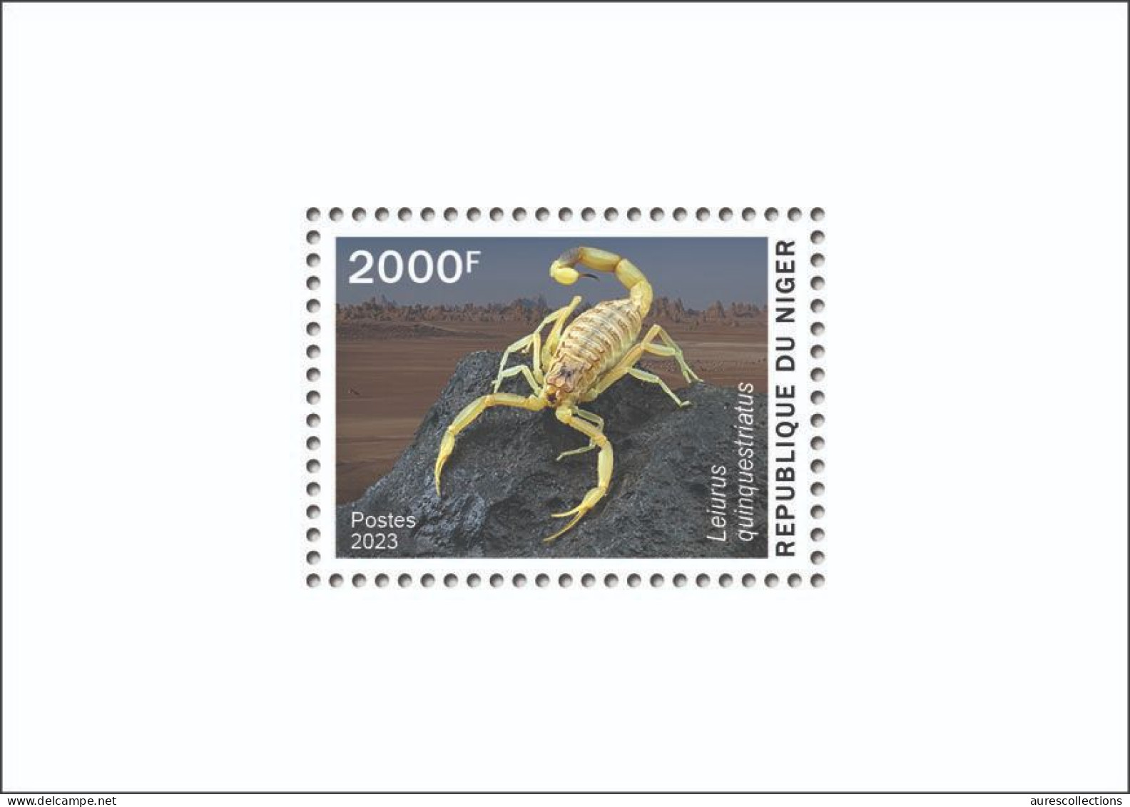 NIGER 2023 - SHEET - TOXIC SPECIES - SCORPION SCORPIONS - LUXE MNH - Ragni