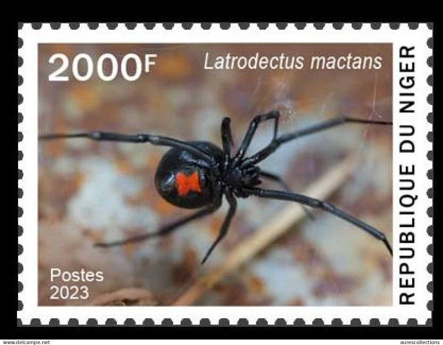 NIGER 2023 - STAMP 2000F - TOXIC SPECIES - SPIDER SPIDERS BLACK WIDOW VEUVE NOIRE - MNH - Arañas