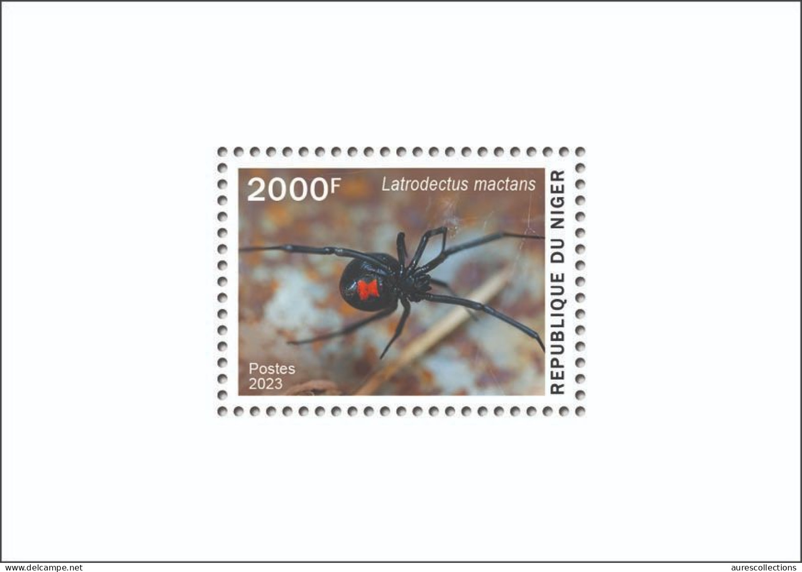 NIGER 2023 - SHEET - TOXIC SPECIES - SPIDER SPIDERS BLACK WIDOW VEUVE NOIRE - LUXE MNH - Araignées