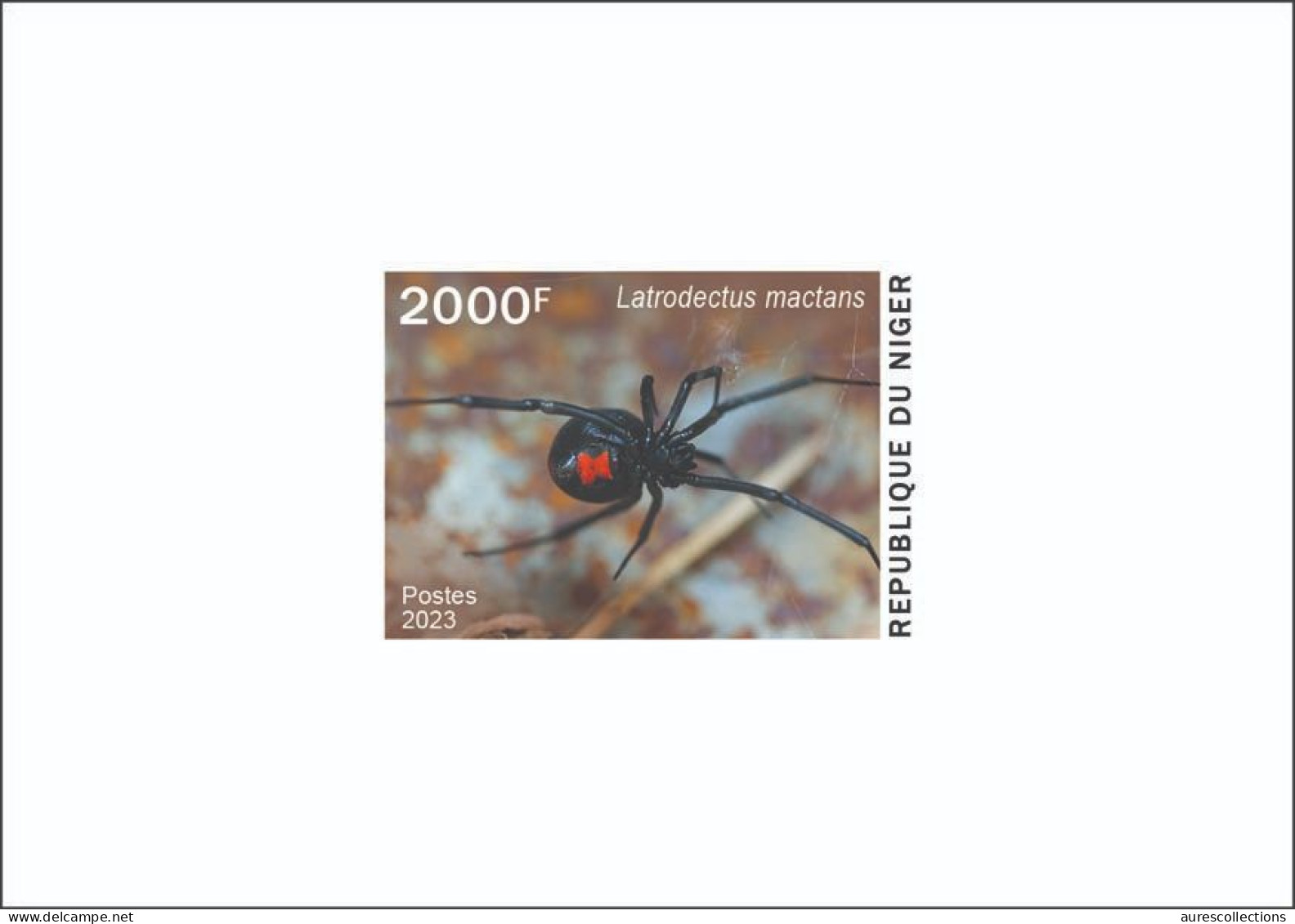 NIGER 2023 - DELUXE PROOF - TOXIC SPECIES - SPIDER SPIDERS BLACK WIDOW VEUVE NOIRE - Araignées