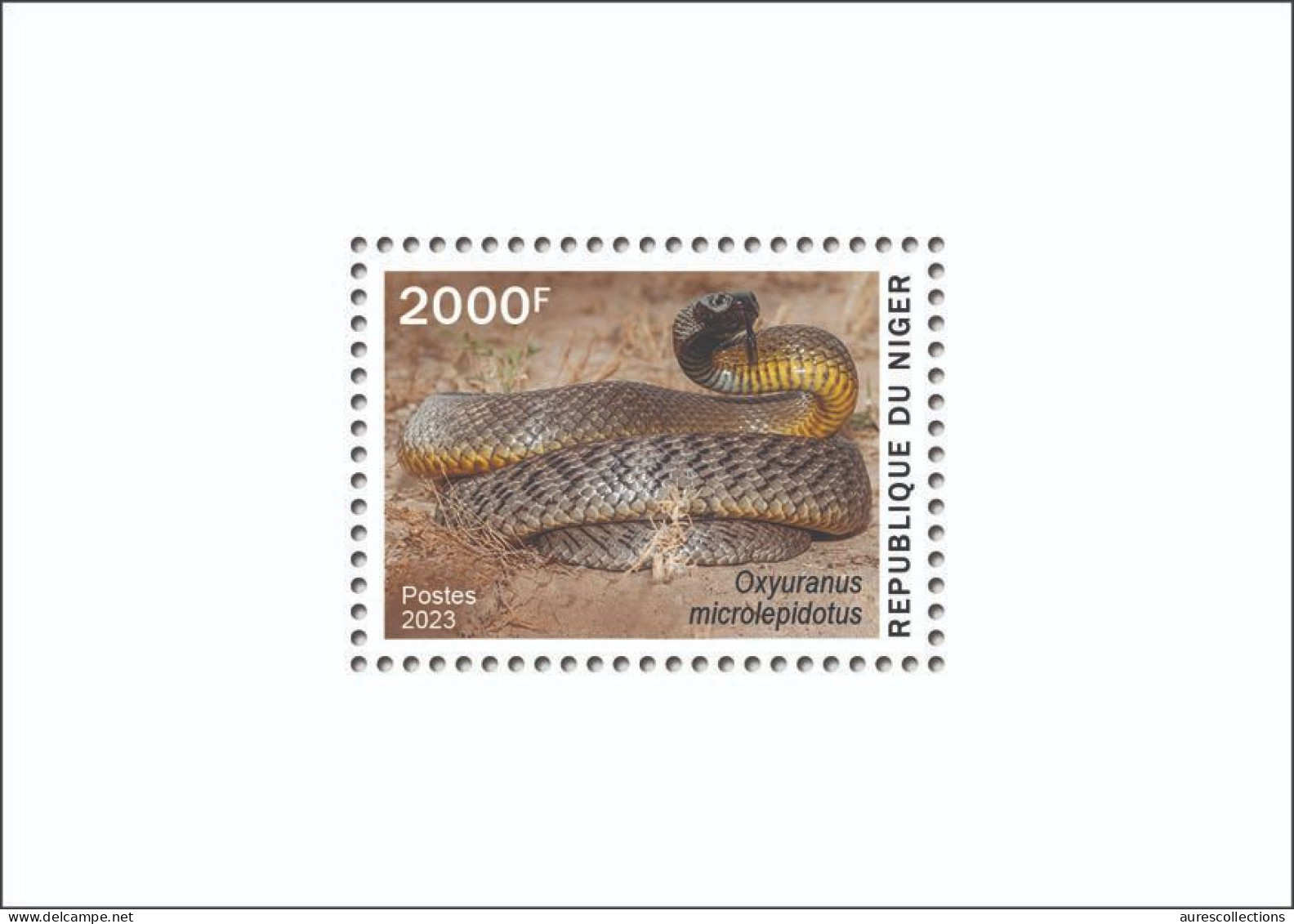 NIGER 2023 - SHEET - TOXIC SPECIES - SNAKES SNAKE SERPENT SERPENTS REPTILES - LUXE MNH - Serpents