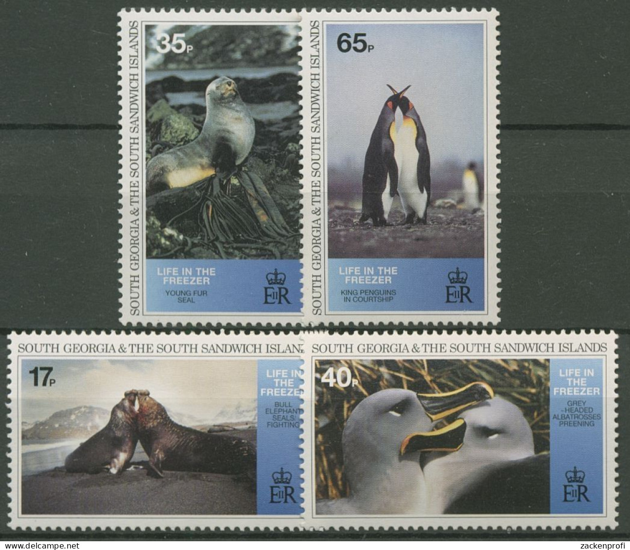 Südgeorgien 1994 Tiere Der Antarktis Albatros See-Elefant 235/38 Postfrisch - Autres - Océanie