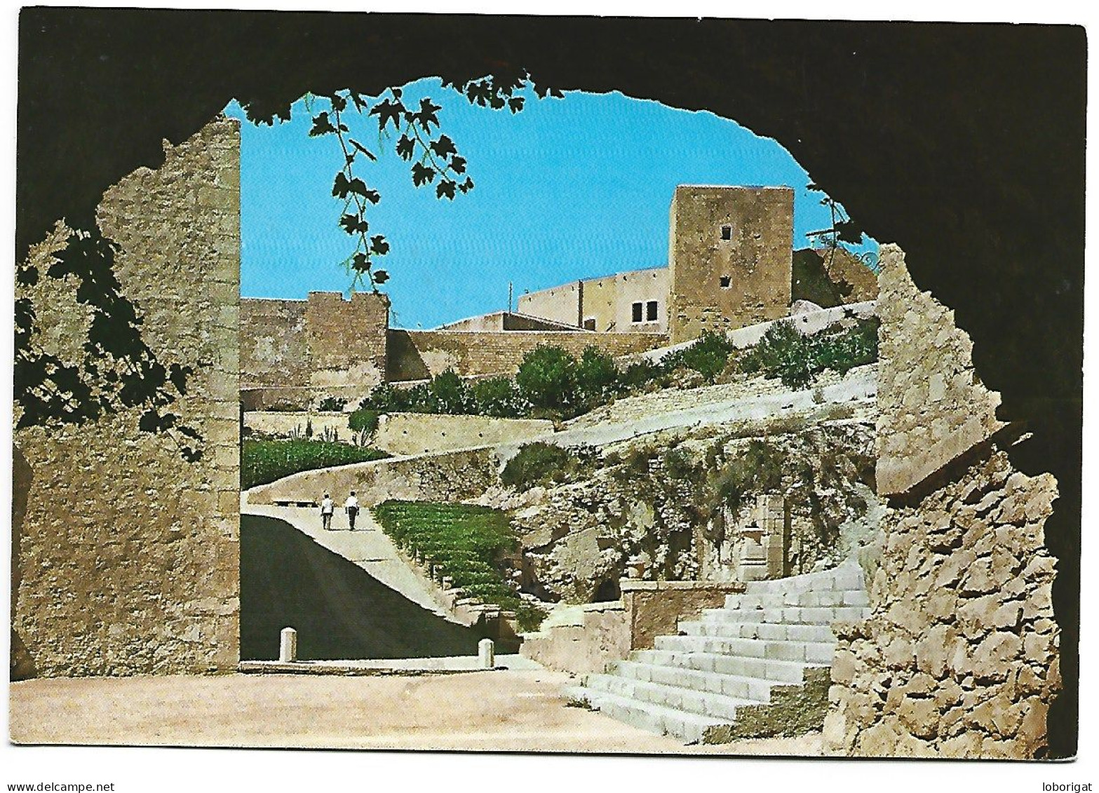 VISTA DEL INTERIOR DEL CASTILLO DE SANTA BARBARA / VIEW OF THE INNER PART OF THE CASTLE.-  ALICANTE.- ( ESPAÑA ) - Alicante