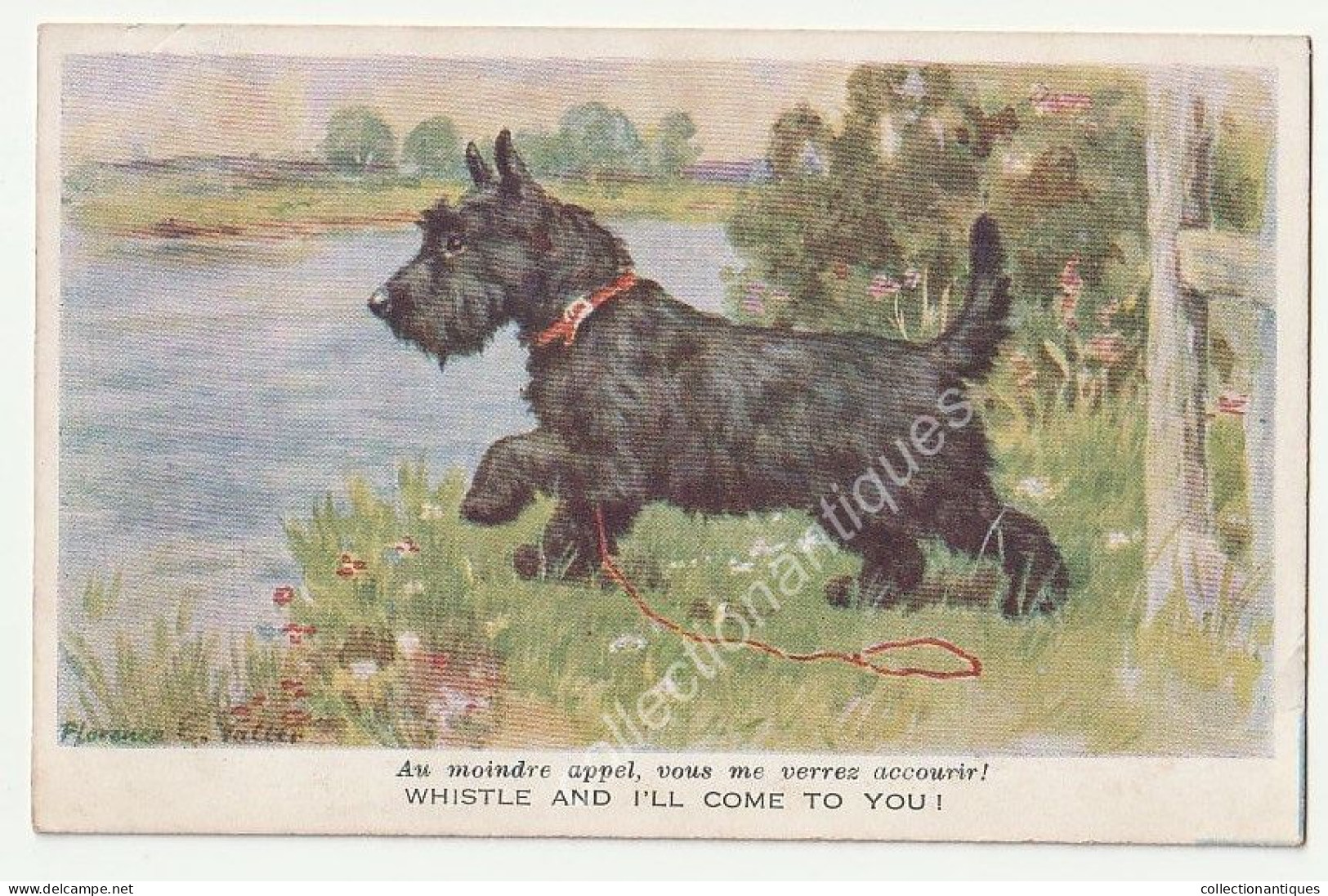 CPA Scottish Terrier - Whistle And I'll Come To You - Circulée Sous Enveloppe - Divisée - Illustr: Florence E. Valter - Valter, Fl. E.