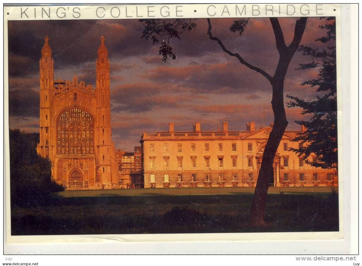 CAMBRIDGE - King's College  In The Sunset    Junbo Card, Red Meter - Cambridge