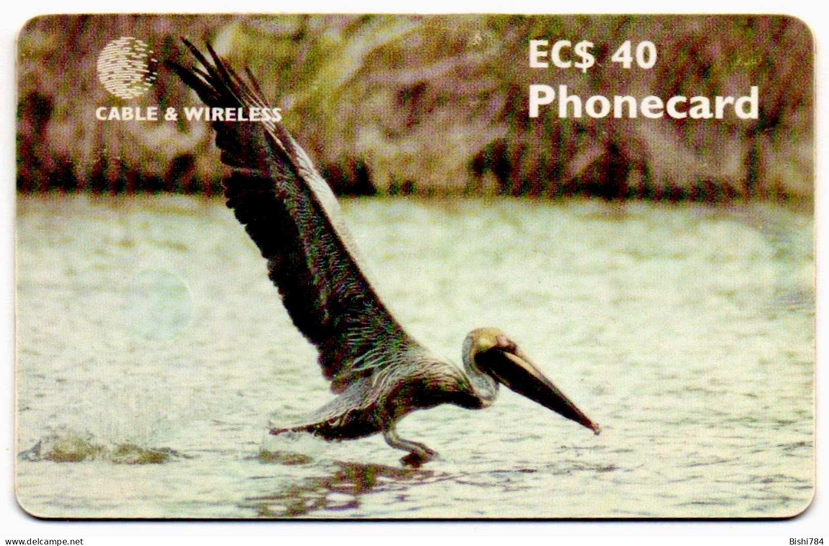 Antigua & Barbuda - Brown Pelican - With RED Chip - Antigua En Barbuda