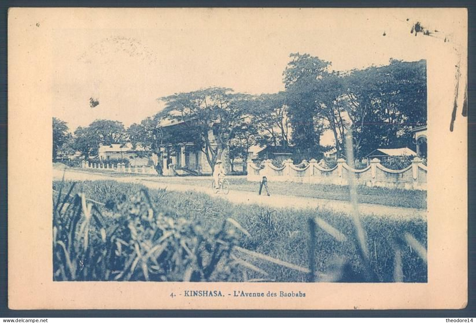 Congo KINSHASA L'Avenue Des Baobabs - Kinshasa - Leopoldville (Leopoldstadt)
