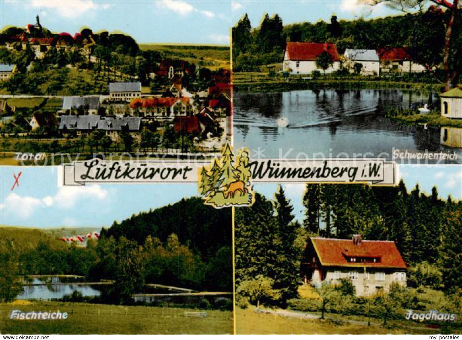 73833659 Wuennenberg Panorama Schwanenteich Fischteiche Jagdhaus Wuennenberg - Bad Wuennenberg
