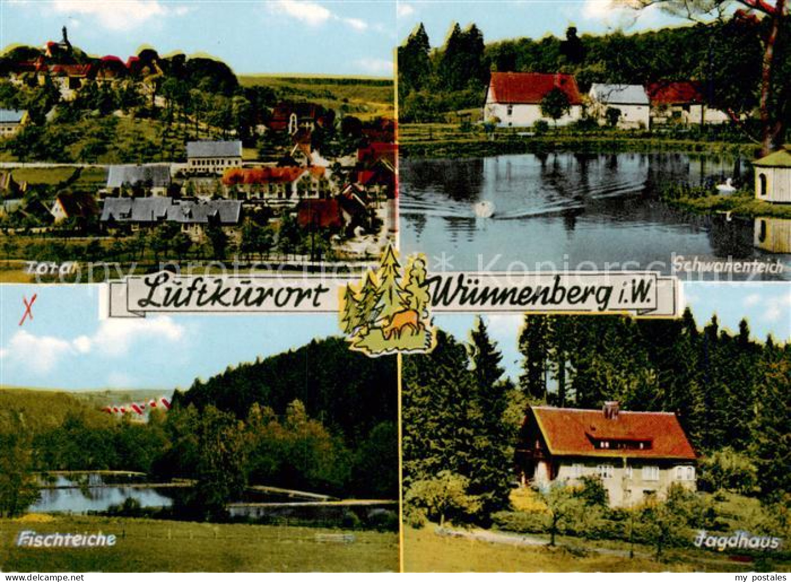 73833659 Wuennenberg Panorama Schwanenteich Fischteiche Jagdhaus Wuennenberg - Bad Wünnenberg