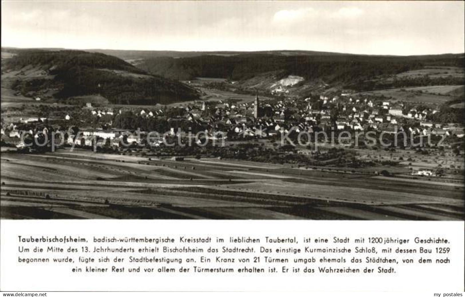 72422434 Tauberbischofsheim Panorama Tauberbischofsheim - Tauberbischofsheim