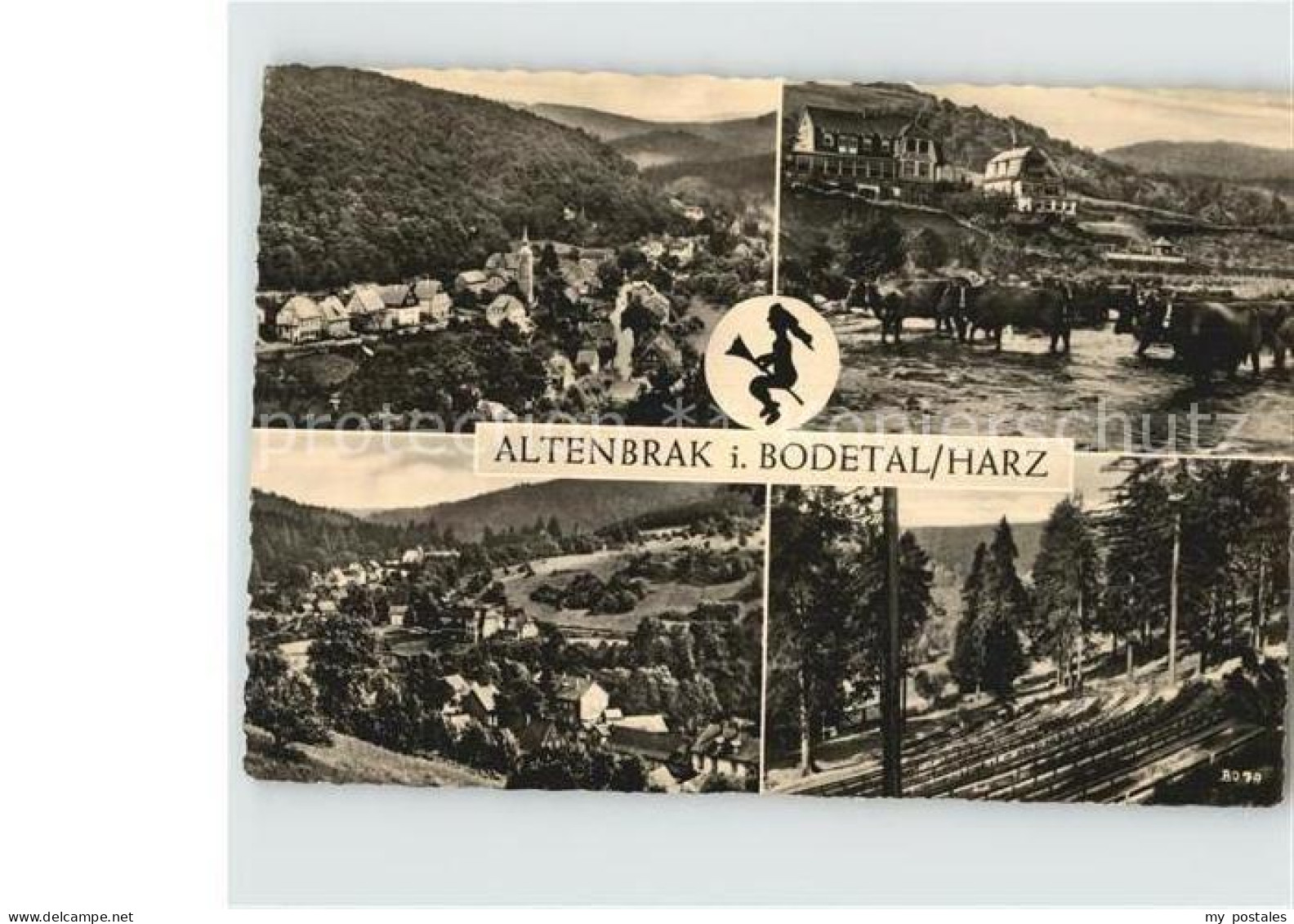 72413271 Altenbrak Harz Panorama Bodetal Viehherde Kuehe Altenbrak - Altenbrak