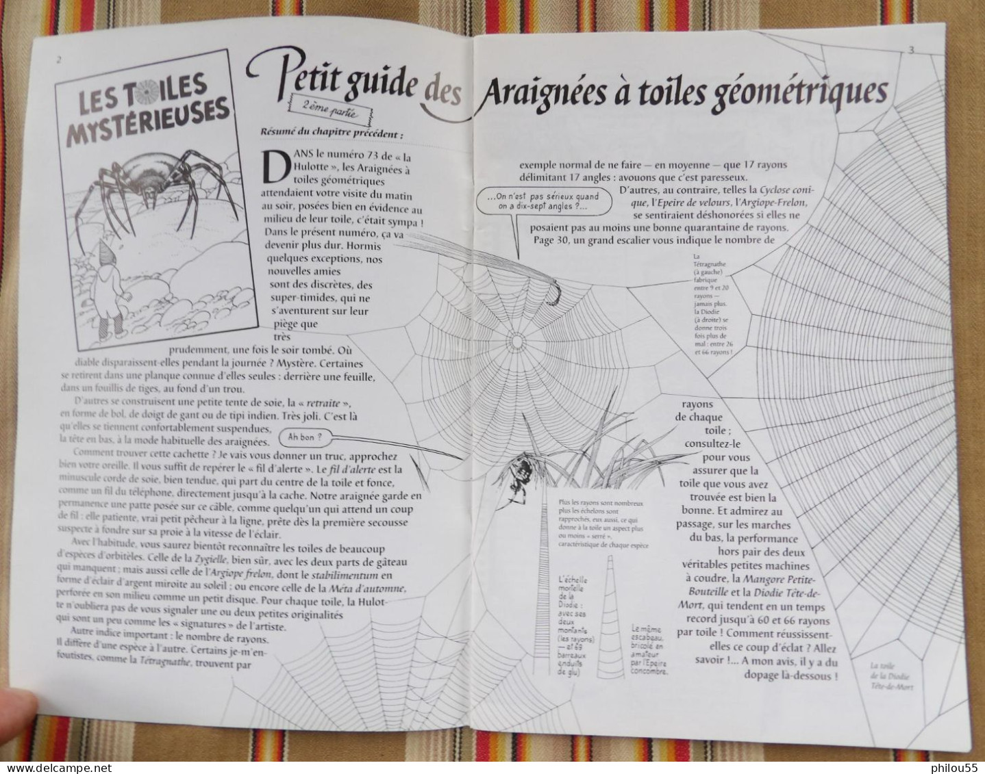 08 BOULT AUX BOIS  LA HULOTTE DES ARDENNES  N° 74  Petit Guide Des Araignees - Champagne - Ardenne