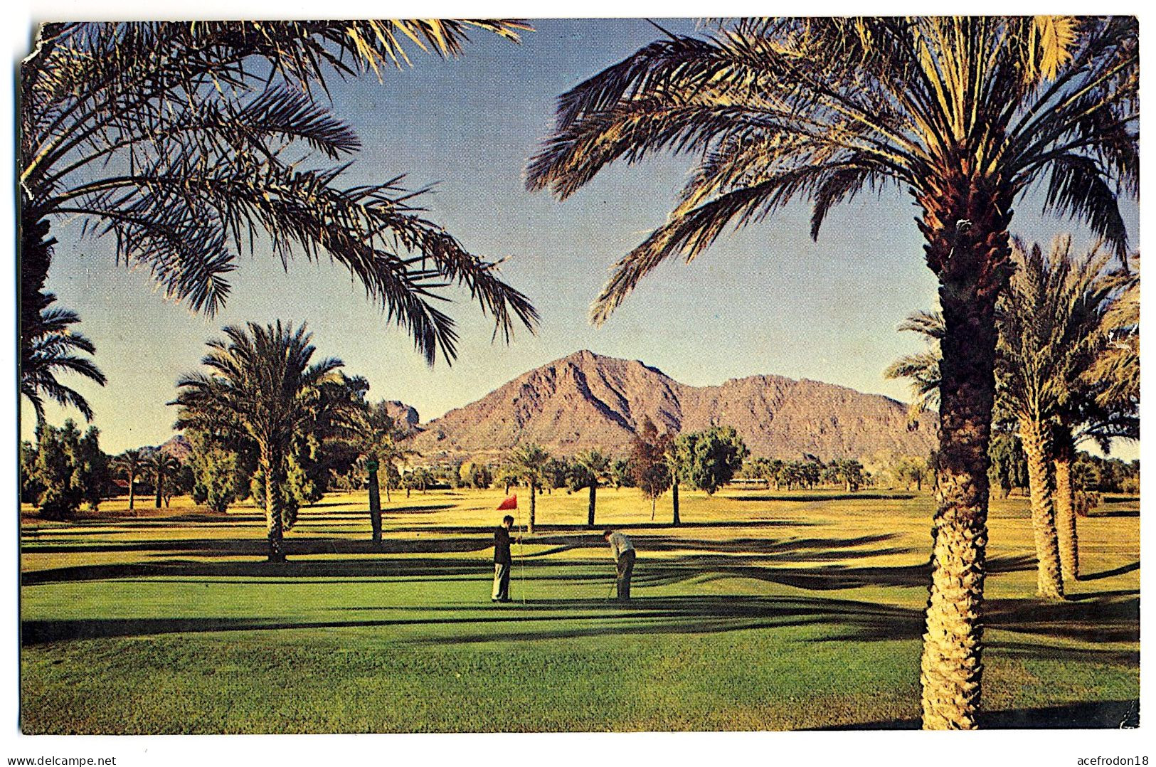 Etats-Unis - Arizona - Golfing In The Valley Of The Sun - Otros & Sin Clasificación