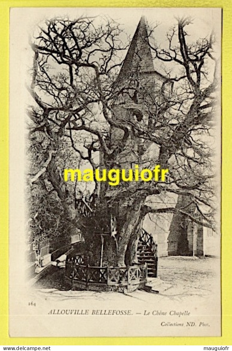 76 SEINE MARITIME / ALLOUVILLE-BELLEFOSSE / LE CHÊNE CHAPELLE - Allouville-Bellefosse
