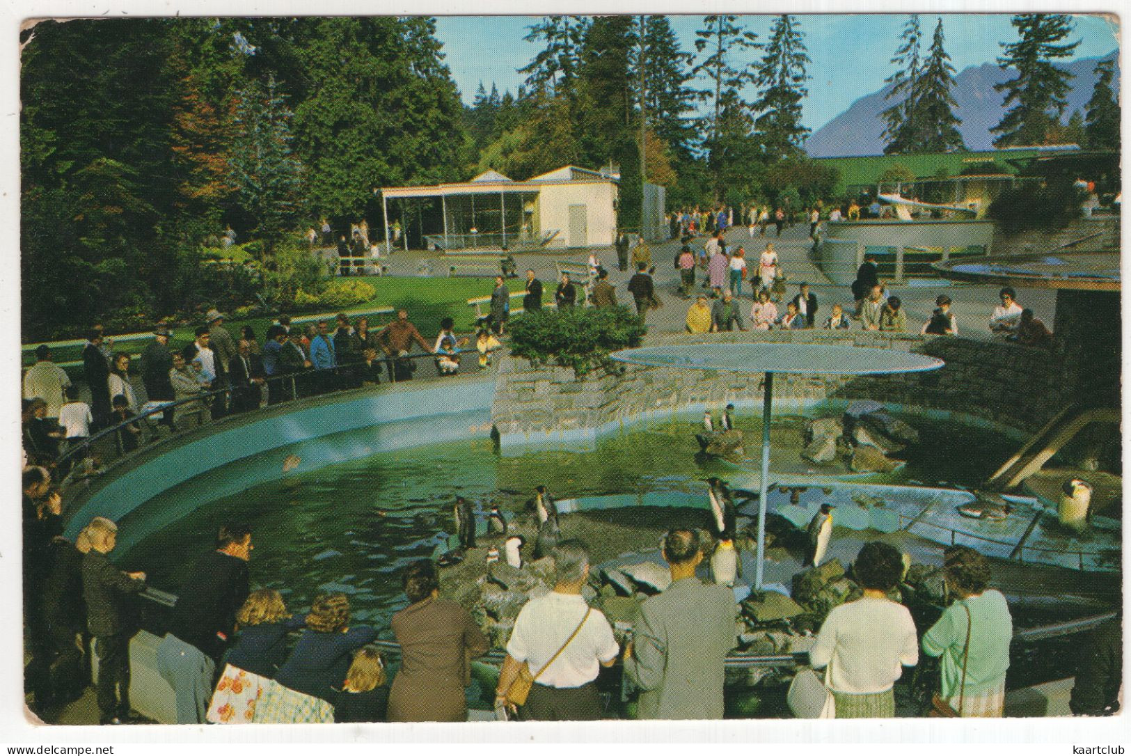 Penguin Area Attractions Stanley Park, Vancouver - (B.C., Canada) - 1968 - Pinguins - Vancouver