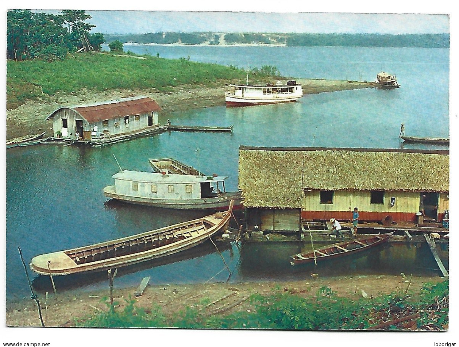 CASAS FLUTUANTES NO RIO NEGRO / FLOATING HOUSES ONT THE RIVER NEGRO.- MANAUS.- ( BRASIL ) - Manaus