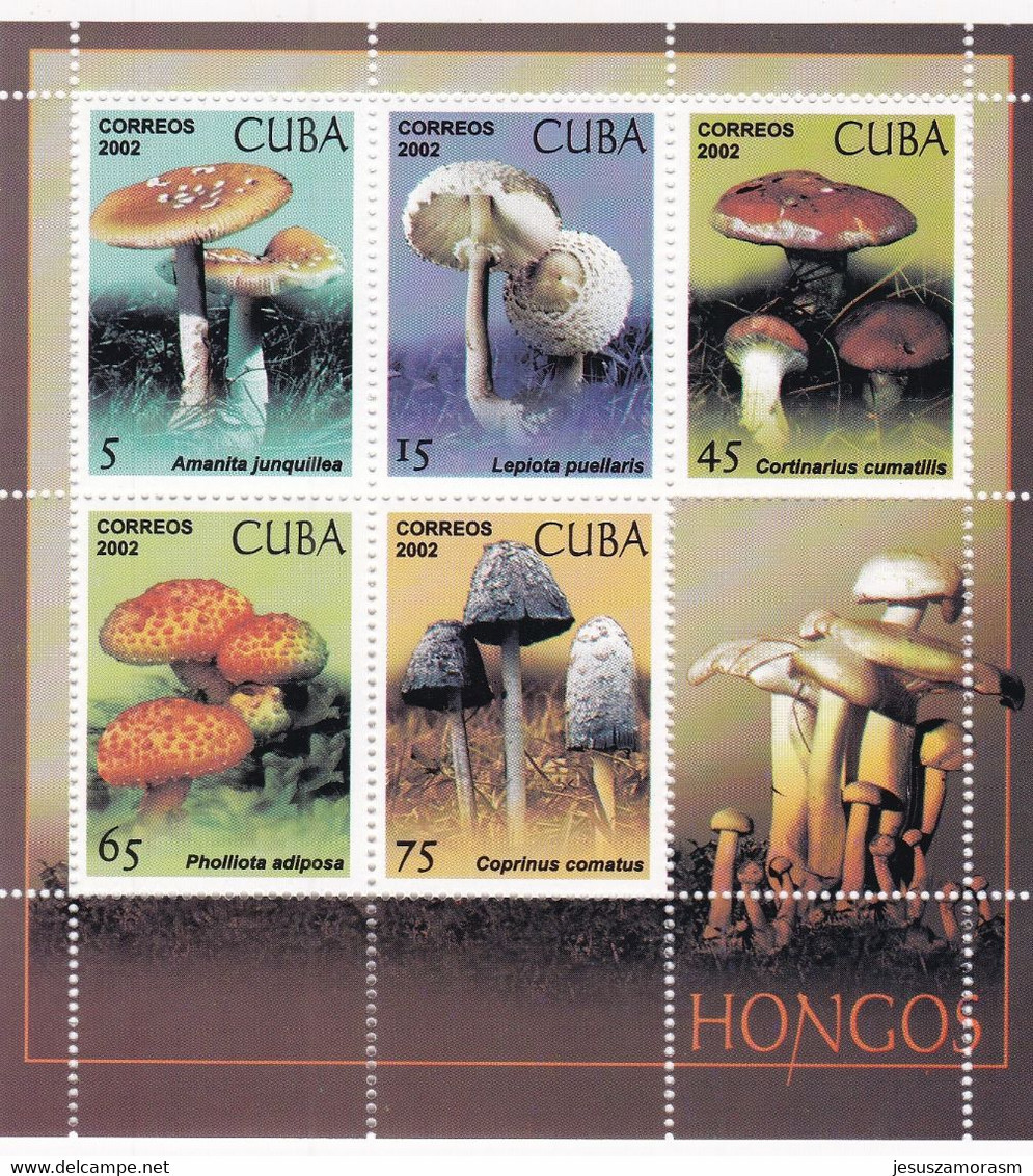 Cuba Hb 171 - Blocs-feuillets