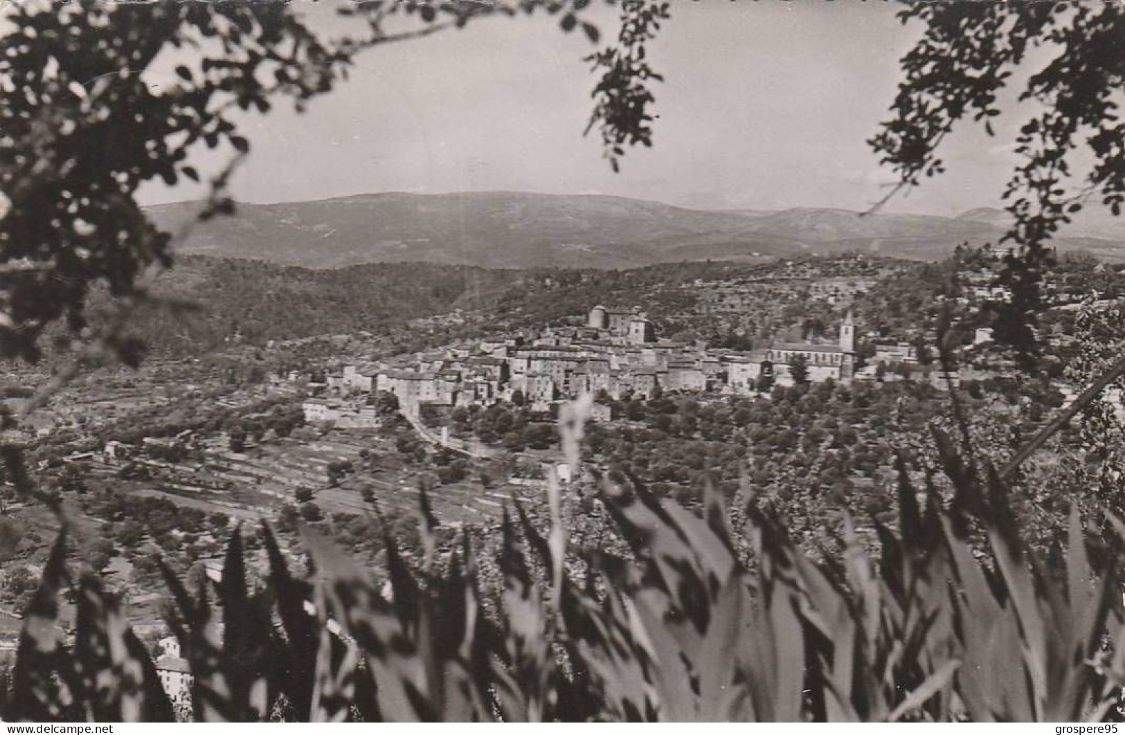 MONTAUROUX LE PRIEURE VUE SUR CALLIAN 1954 - Montauroux