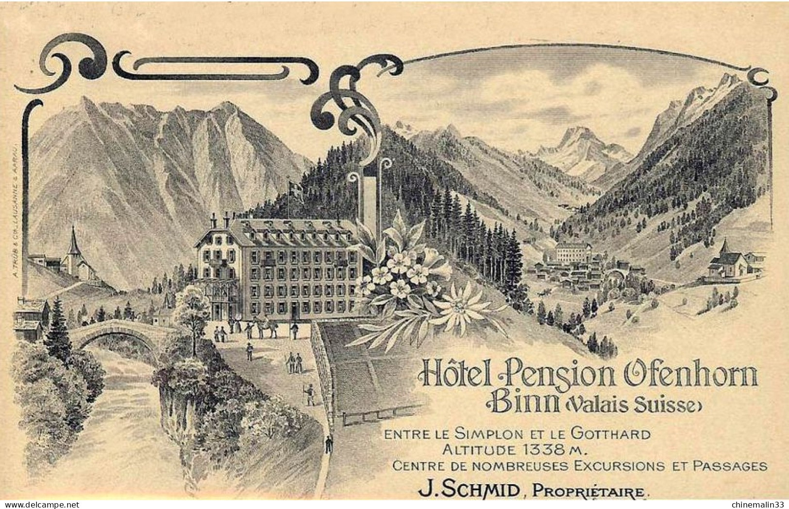 VALLAIS SUISSE HOTEL PENSION OFENHORN BINN  BELLE  ANIMATION REIMPRESSION DE CARTE ANCIENNE COLLECTION E.B. 1970 - Horn