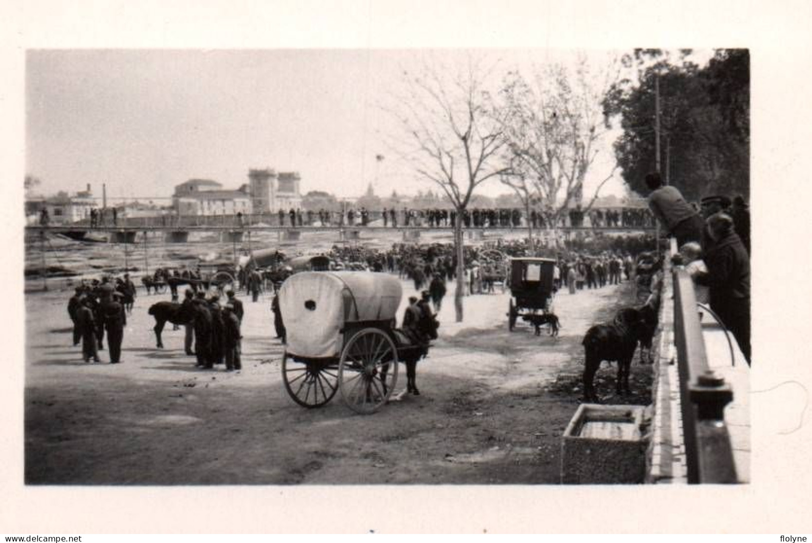 Valence - Valencia - Photo Ancienne - Foire Marché Aux Chevaux Sur Champ De Mars - Espagne España - 5x7 Cm - Valencia