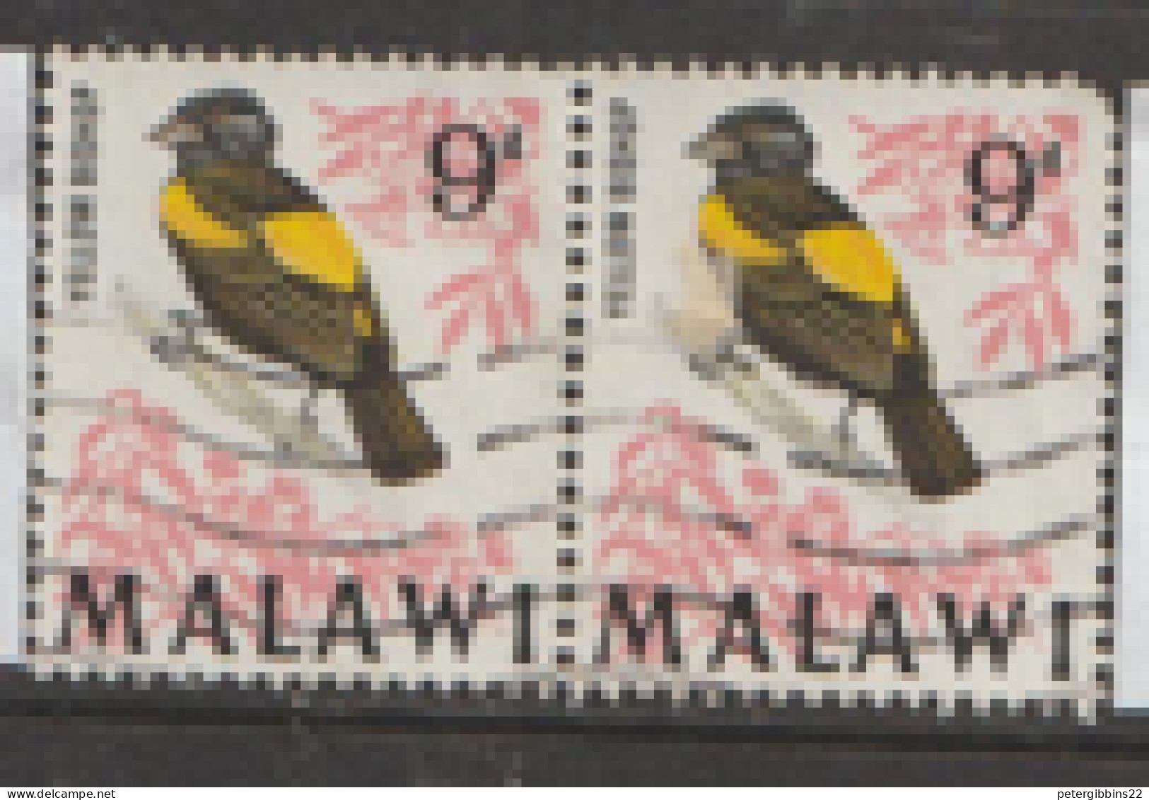 Malawi 1968  SG 310 9d Yellow Bishops  Fine Used  Pair - Malawi (1964-...)