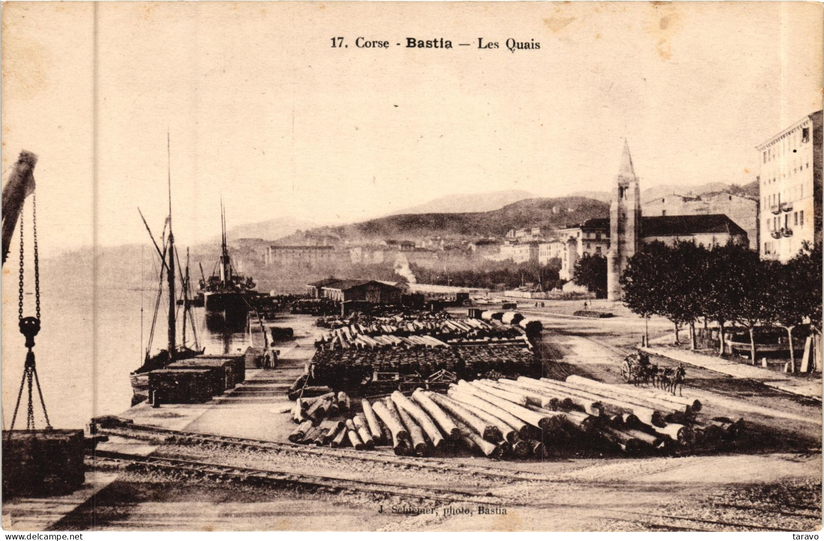 CORSE - BASTIA - Sur Les Quais , Grumes De Bois En Attente De Chargement - Photo J. Schiemer - Bastia