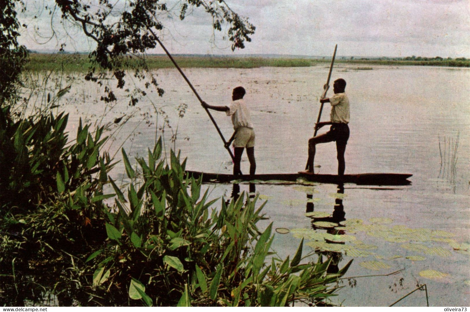 ANGOLA - Nas Lagoas De Catete - Angola