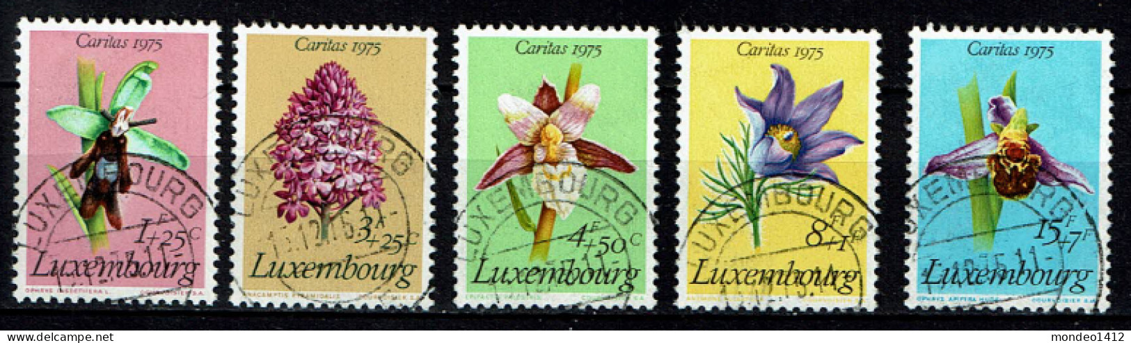 Luxembourg 1975 - YT 864/868 - Protected Plants - Charity Issue, Fleurs Protégées, Geschützte Blumen, Beschermde Bloemen - Oblitérés