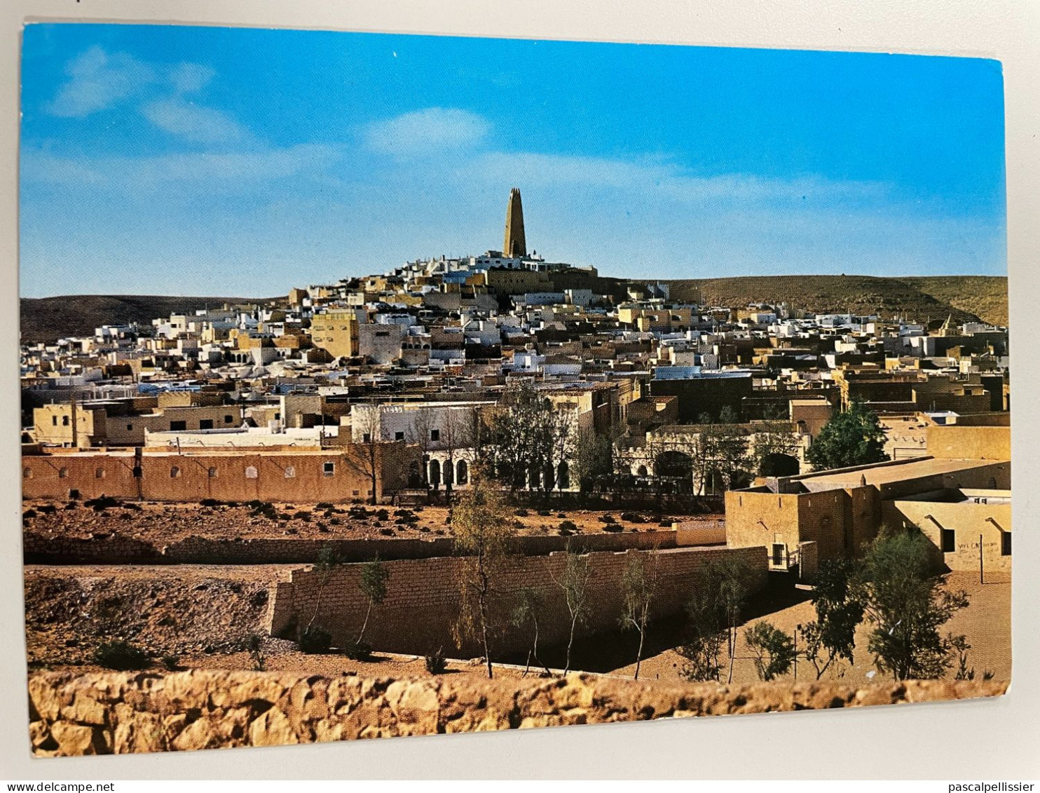 CPM - ALGERIE - GHARDAÏA - Vue Générale - Ghardaia