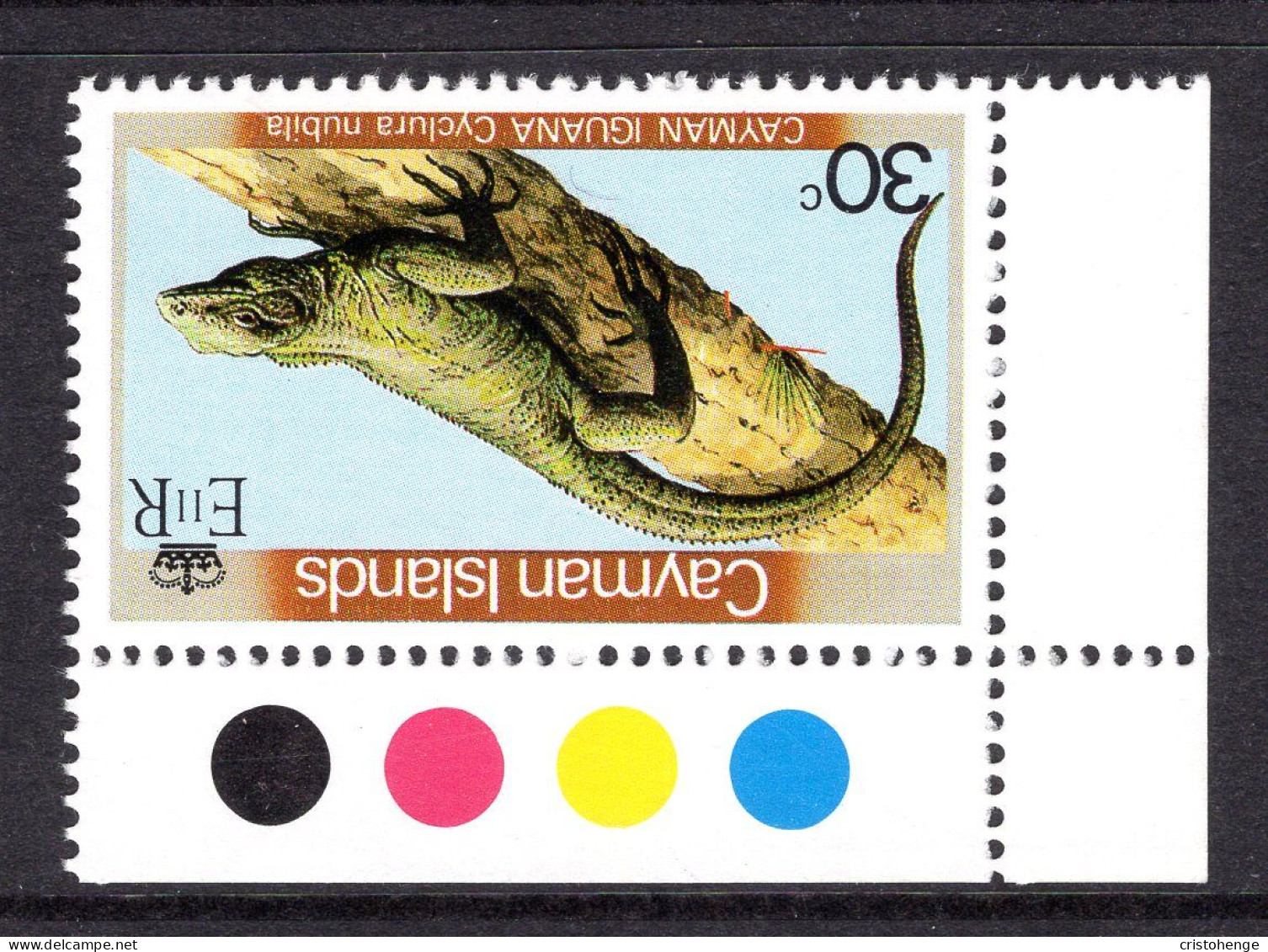 Cayman Islands 1981 Reptiles & Amphibians - Wmk. Crown To Right - 30c Iguana MNH (SG 531w) - Cayman Islands