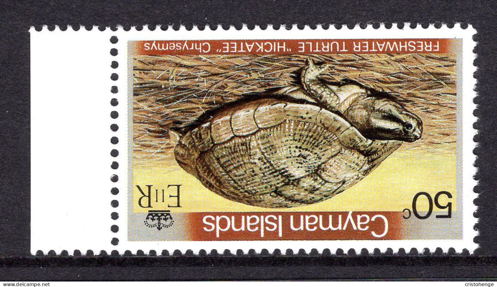 Cayman Islands 1981 Reptiles & Amphibians - Wmk. Crown To Right - 50c Terrapin MNH (SG 533w) - Cayman Islands