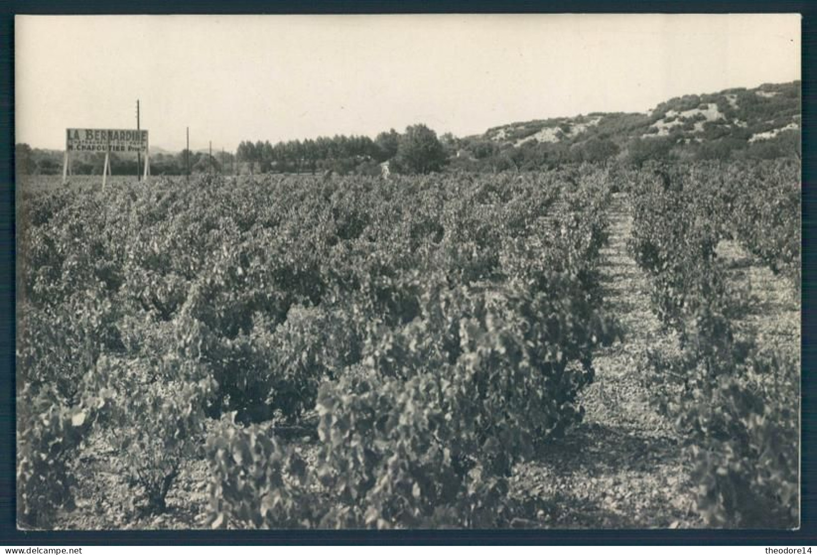 84 CHATEAUNEUF Du PAPE  La Bernadine - Chateauneuf Du Pape