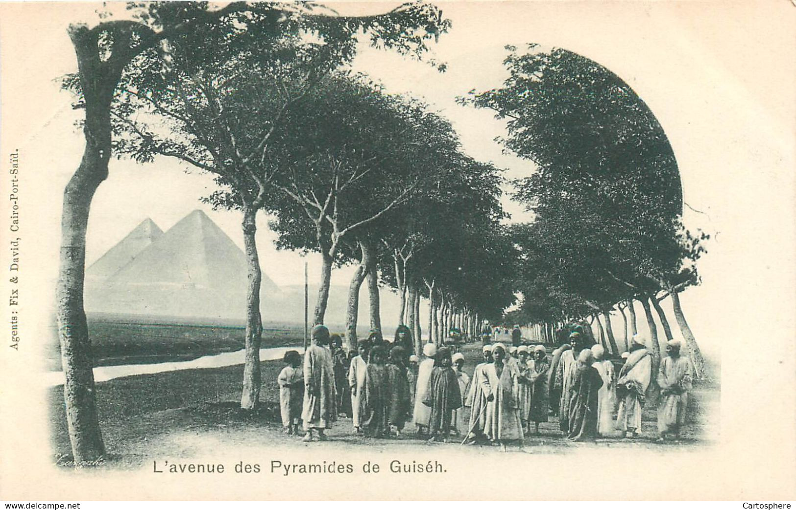 CPA Afrique > Egypte > L'Avenue Des Pyramides De Guiseh Gizeh - Gizeh