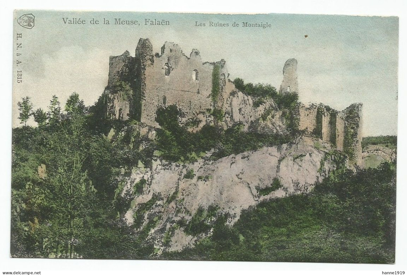 Onhaye Falaen Les Ruines De Montaigle Vallée De La Meuse Namur Htje - Onhaye