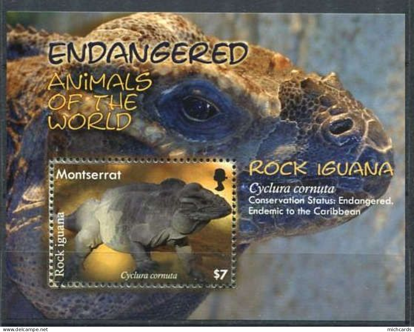 159 MONTSERRAT 2008 - Yvert BF 121 - Reptile Iguane Rhinocéros - Neuf ** (MNH) Sans Trace De Charniere - Montserrat