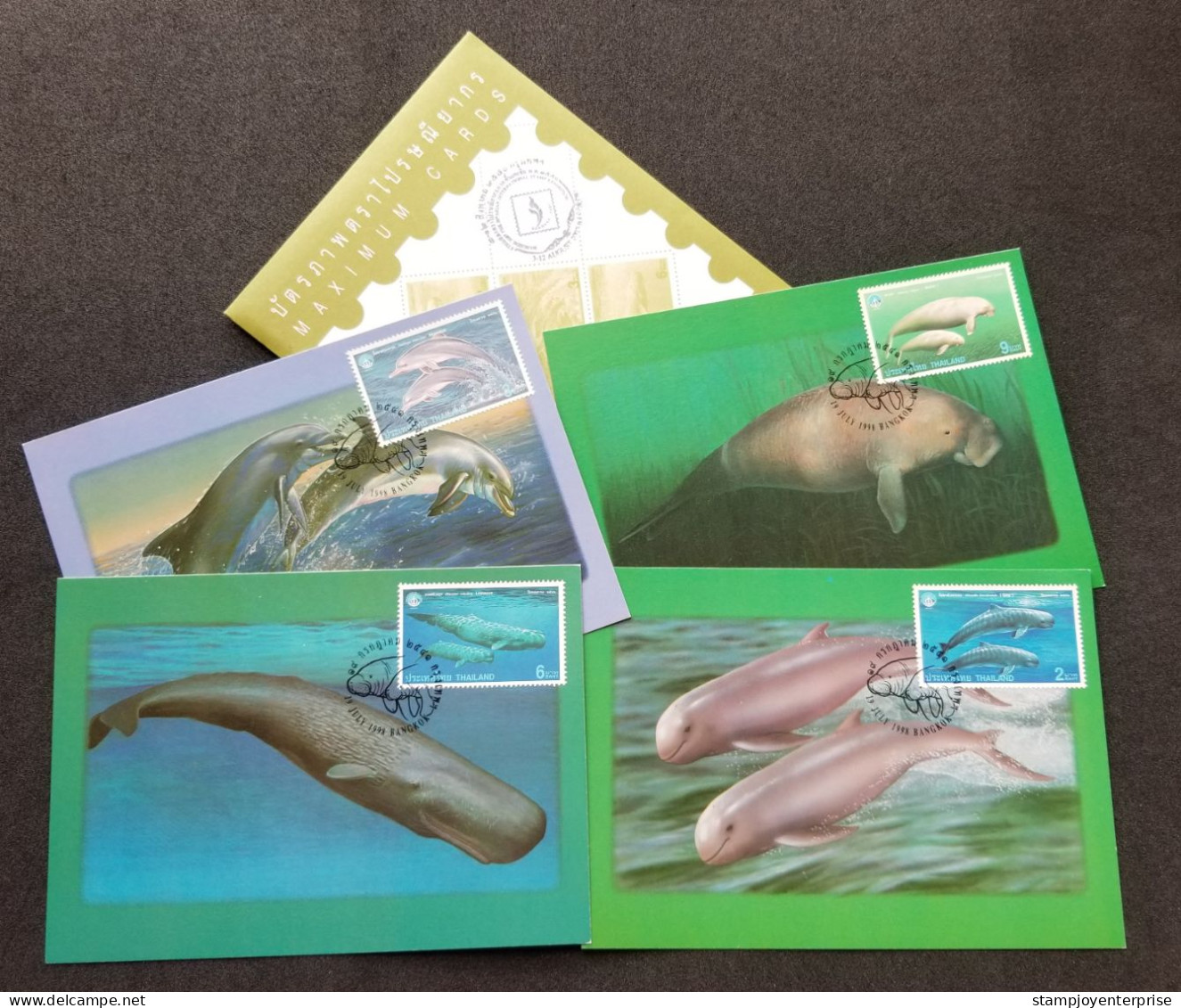 Thailand International Year Of Ocean 1998 Whale Dolphin Dugong Marine Life (maxicard) *see Scan - Thaïlande
