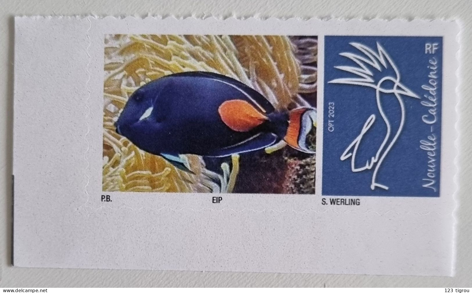 CAGOU PERSONNALISE LOGO POISSON CHIRURGIEN D'ACHILLE OPT 2023 EXTRAIT D'UNE FEUILLE DE 25 TIMBRES PS TB - Ungebraucht