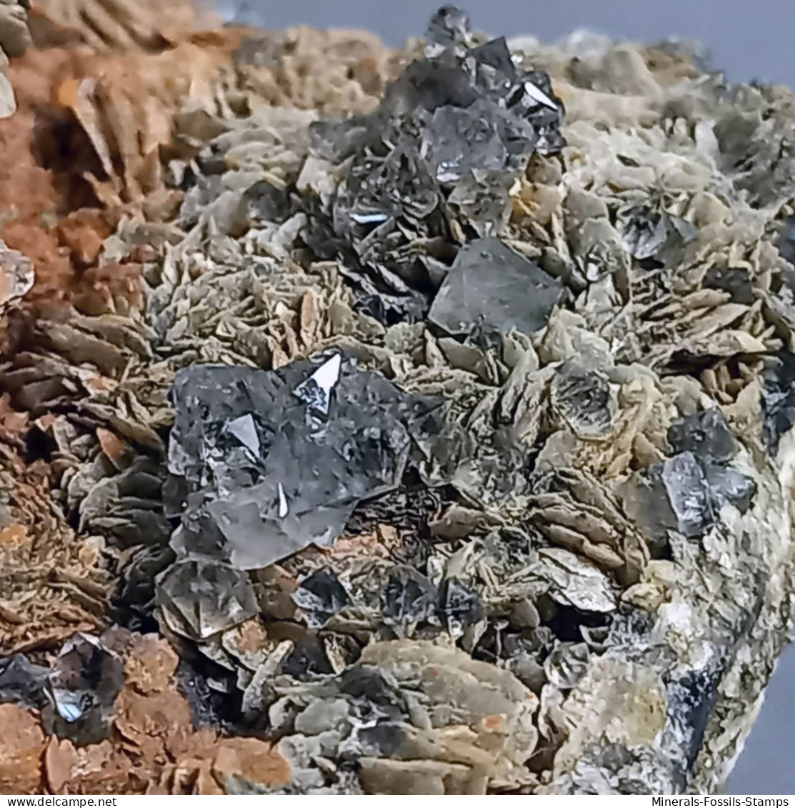 #SC19-11 Rare bleu-gris clair QUARTZ cristaux 'beta' avec 'roses' de Barytine (Italie)