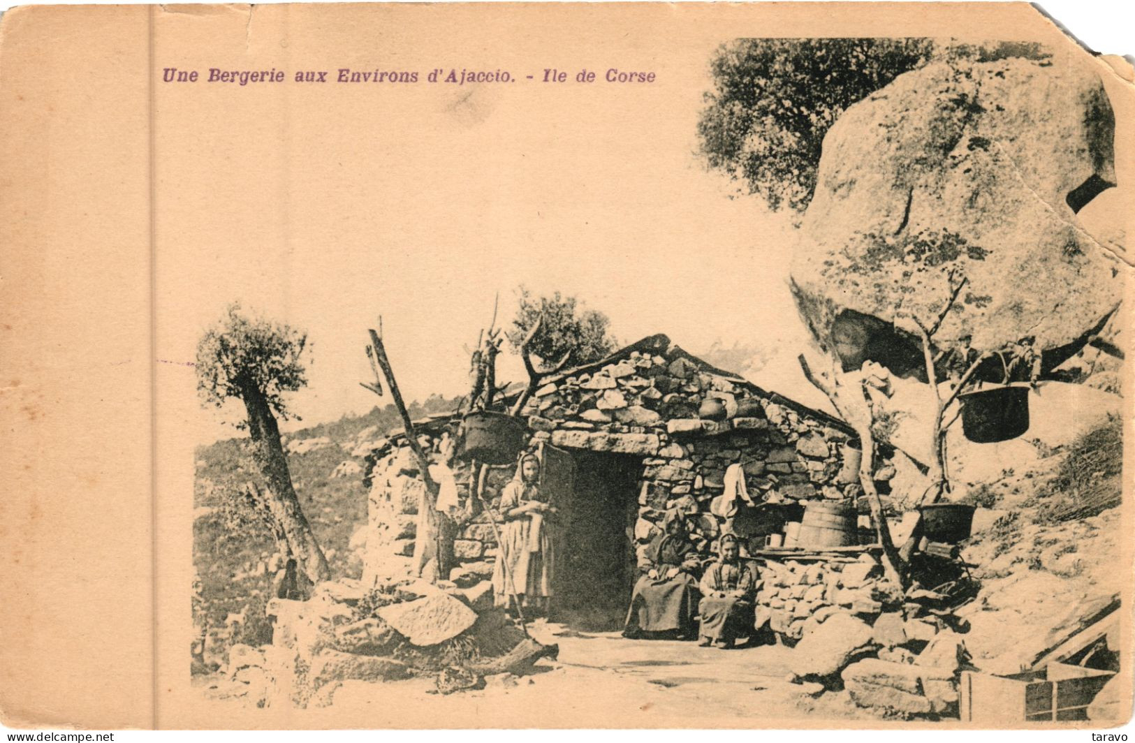 CORSE - Environs D'AJACCIO - UNE BERGERIE - Années 1900 - Ajaccio