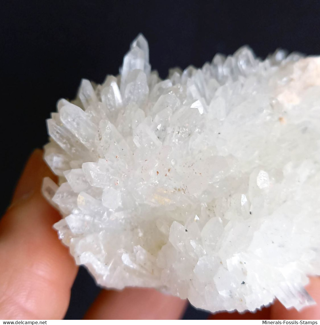 #SC01.09 Schönes QUARZ mit Chalkopyrit kristalle (Dal’negorsk, Primorskiy Kray, Russland)