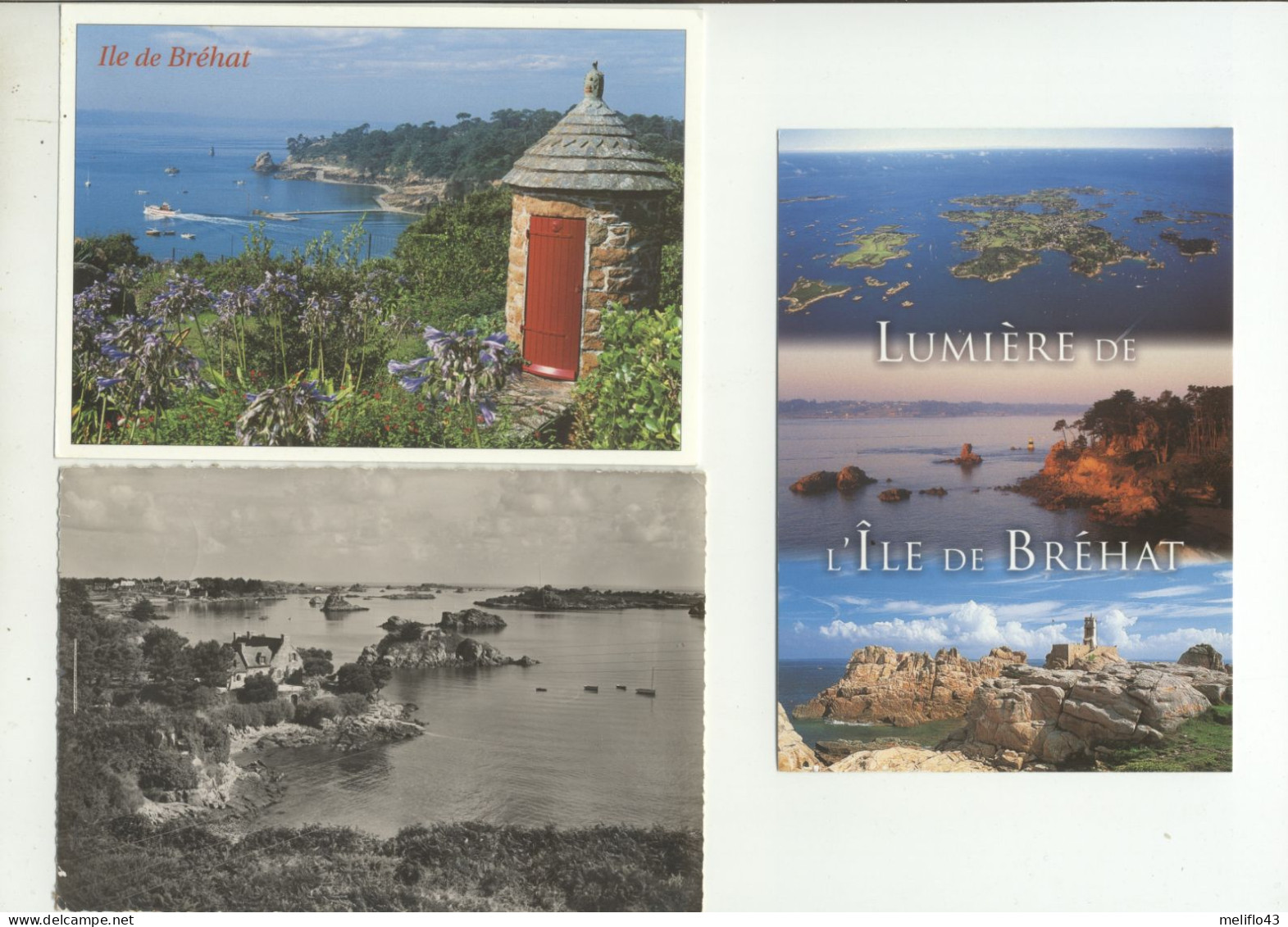 22 /CPM - Ile De Bréhat - Lot De 12 CPM (CPSM) - 5 - 99 Postcards