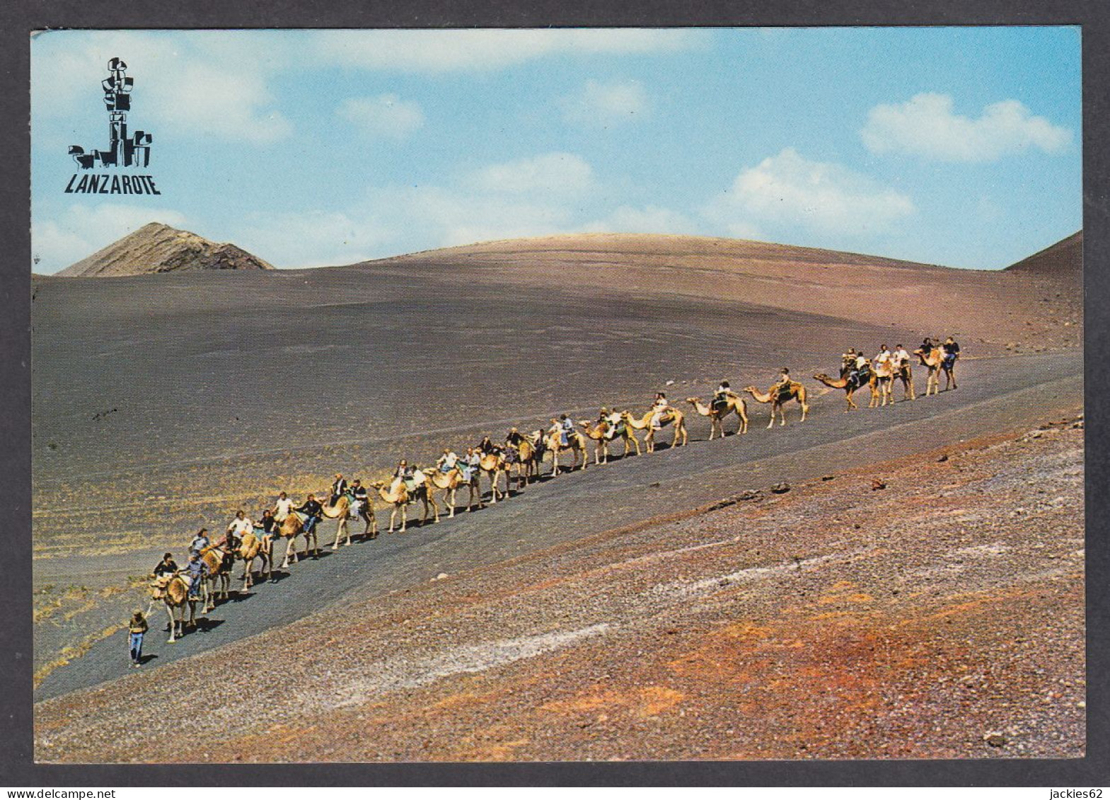 108655/ Lanzarote, Caravana De Camellos  - Lanzarote