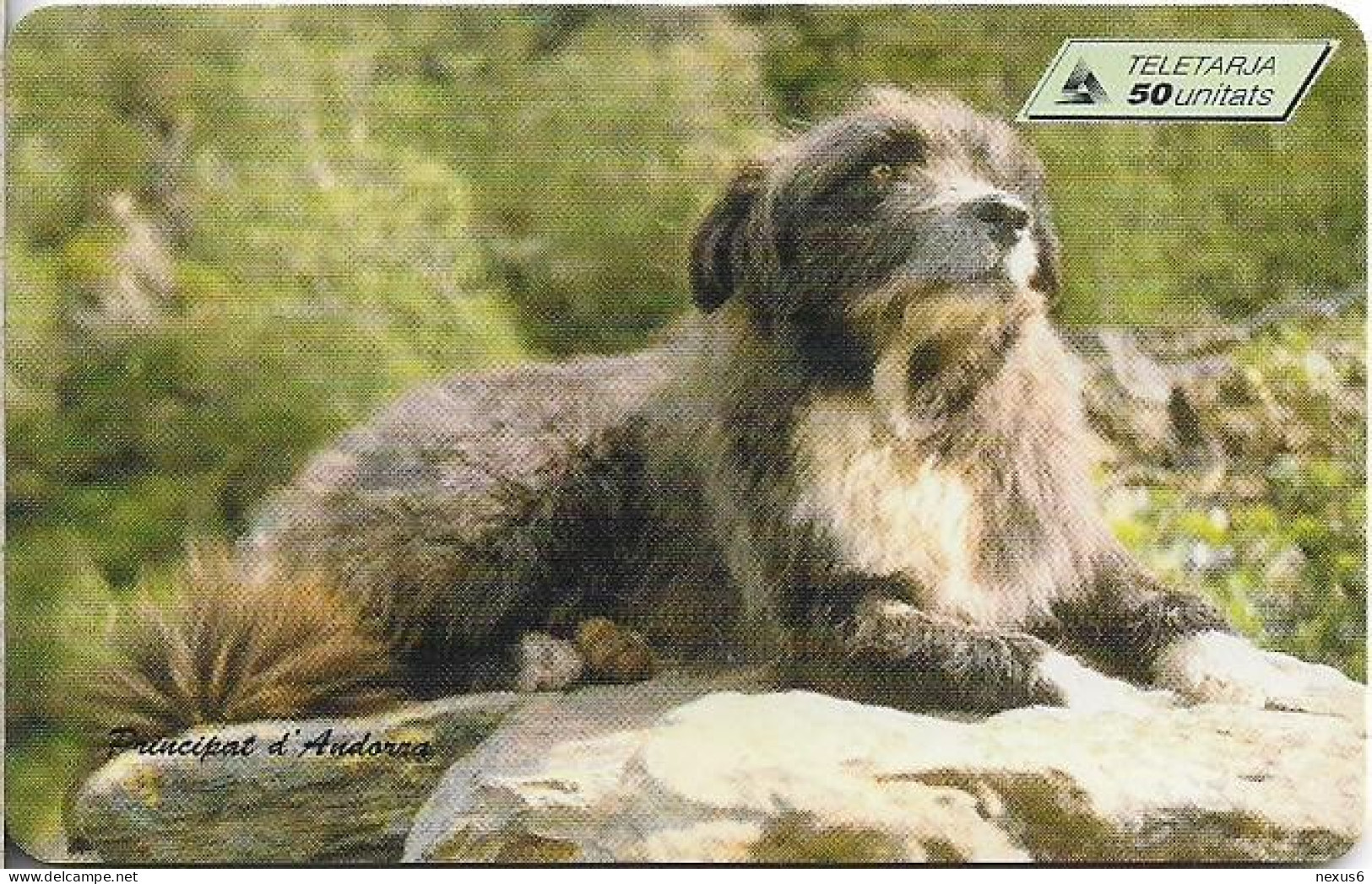 Andorra - STA - STA-0075 - Sheep Dog Trials, SC7, 08.1997, 50Units, 12.000ex, Mint Unused - Andorra