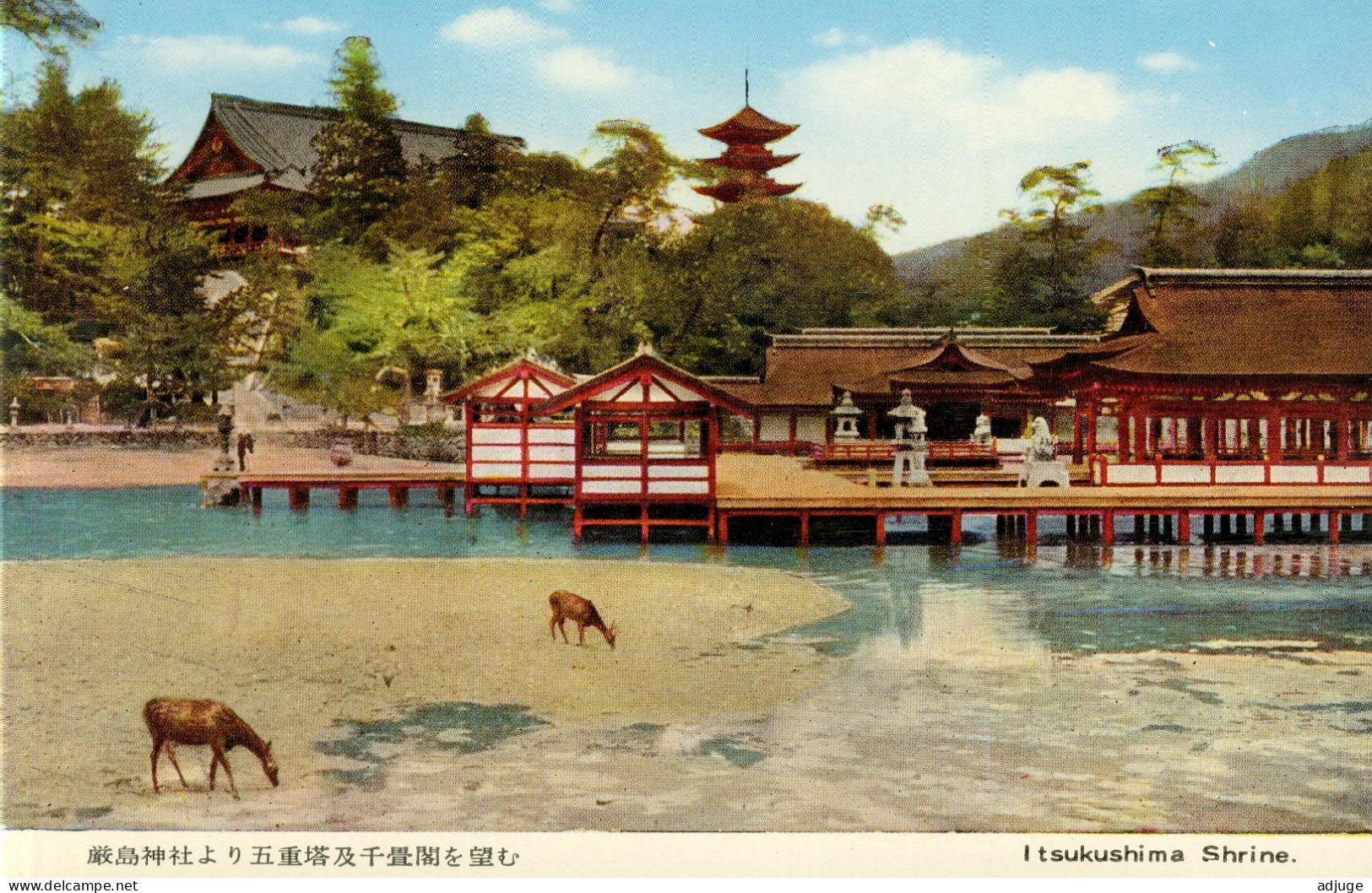 Japon- Lot de 8 cartes Miyajima Itsukushima : Le torii "flottant" du sanctuaire Itsukushima etc..