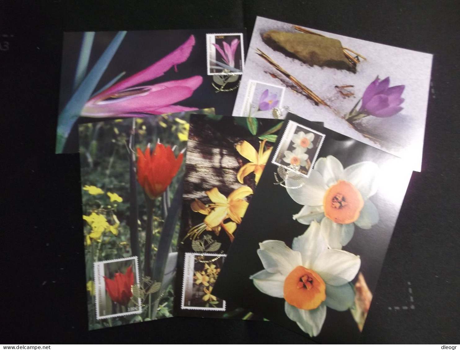 Greece 2005 Greek Flora Maximum Card Set VF - Maximum Cards & Covers