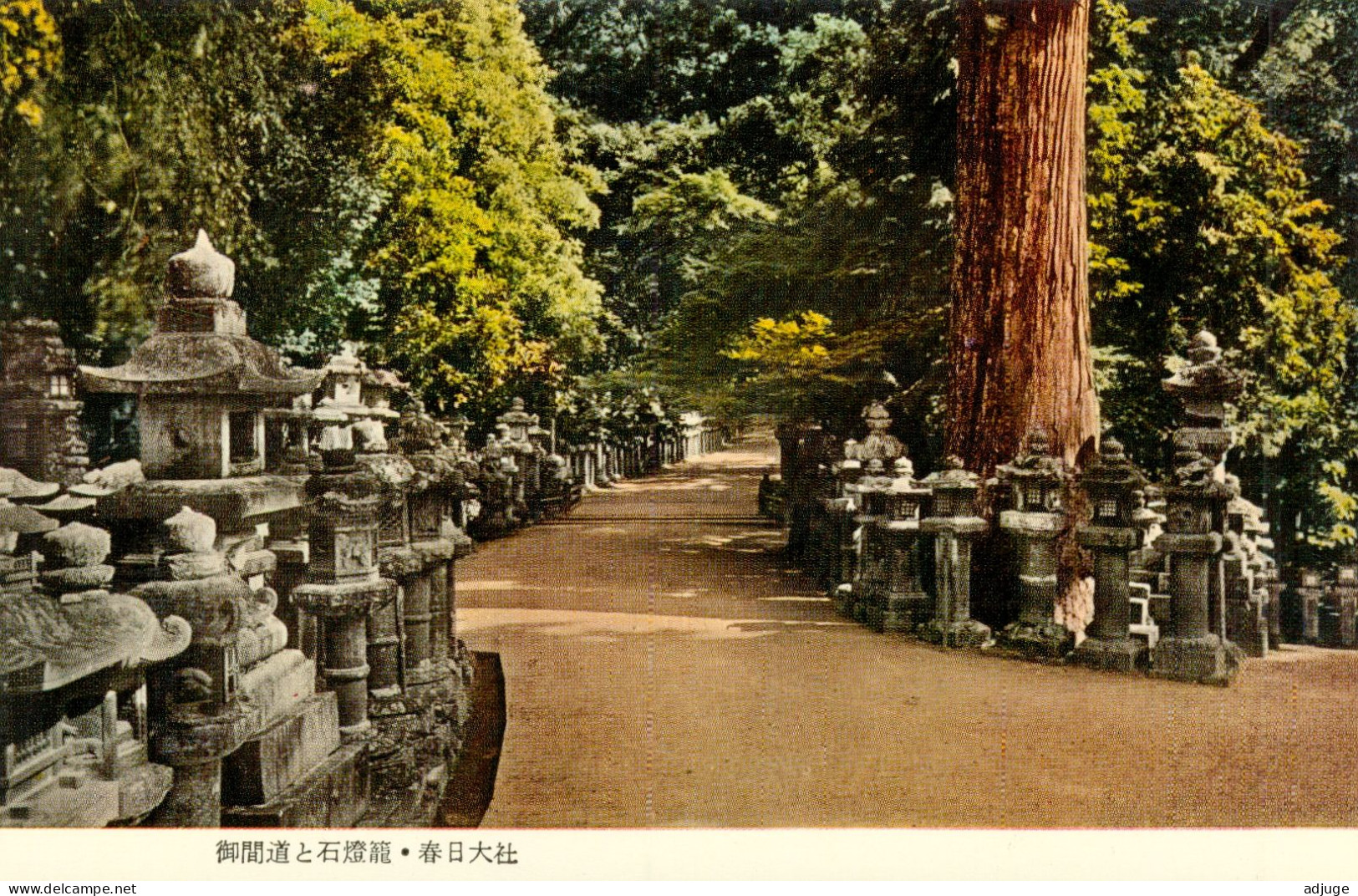 Japon- Lot De 8 Cartes Kasuga-Taisha  Sanctuaire Shinto De La Ville De Nara * SUP * Cf.scans - Hiroshima